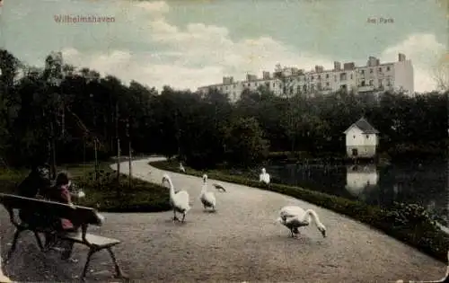 Ak Wilhelmshaven an der Nordsee, Park, Schwäne