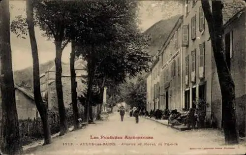 Ak Aulus les Bains Ariège, Avenue und Hotel de France