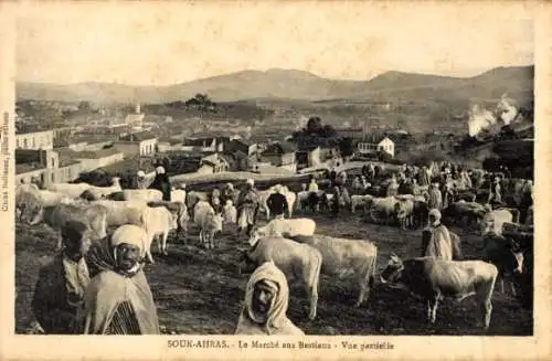 Ak Souk Souq Ahras Algerien, Viehmarkt