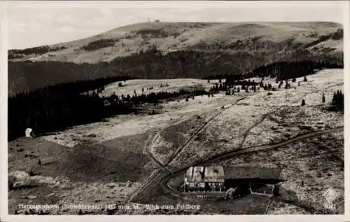 Ak Bernau im Schwarzwald, Herzogenhorn, Fliegeraufnahme, Feldberg