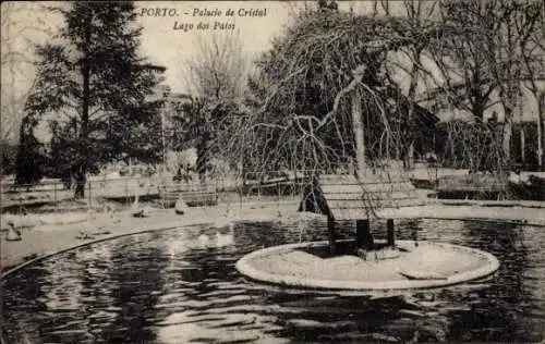 Ak Porto Portugal, Palacio de Cristal, Lago dos Patos