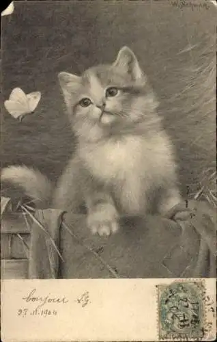 Künstler Litho Schwar, W., Junge Katze, Schmetterling