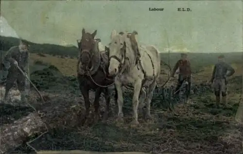 Ak Landwirtschaft, Bauern, Pflug, Pferde, Ackerarbeit