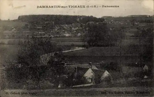 Ak Dammartin sur Tigeaux Seine et Marne, Panorama