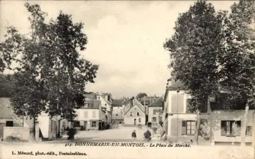 Ak Donnemarie-en-Montois Seine et Marne, La place du Marche