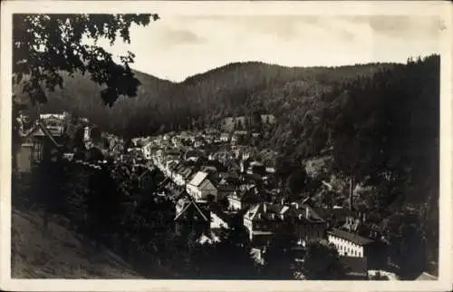 Ak Triberg im Schwarzwald, Totalansicht