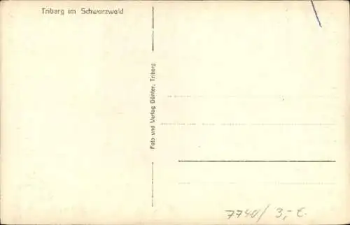 Ak Triberg im Schwarzwald, Totalansicht