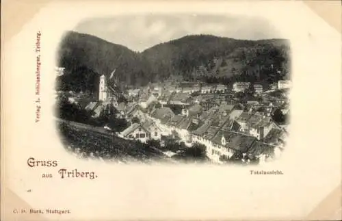 Ak Triberg im Schwarzwald, Totalansicht