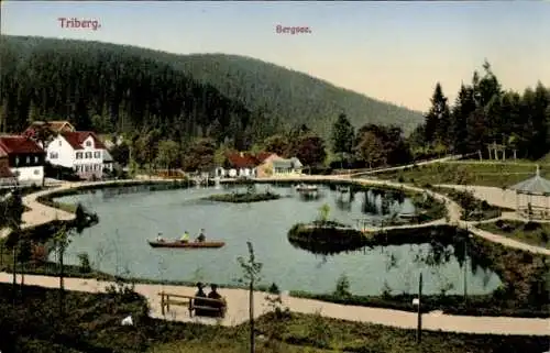 Ak Triberg im Schwarzwald, Bergsee