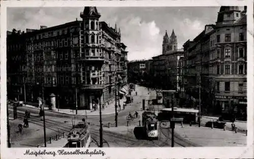 Ak Magdeburg, Hasselbachplatz, Straßenbahnen