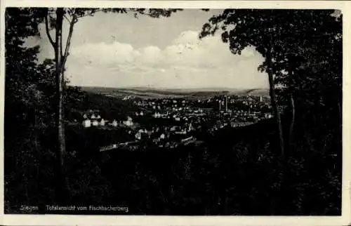 Ak Siegen in Westfalen, Totalansicht, Blick vom Fischbacherberg