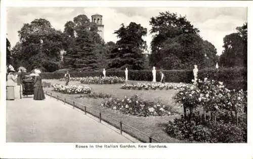 Ak Kew London Borough of Richmond upon Thames, Rosen im Italienischen Garten