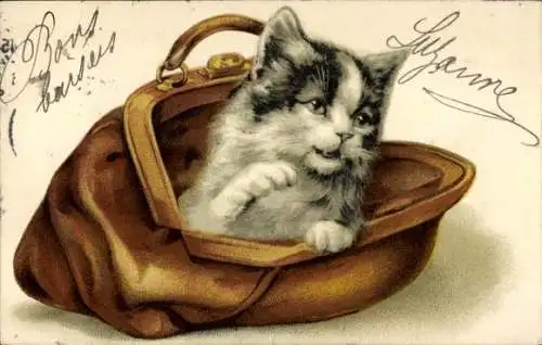 Litho Katze in einer Handtasche