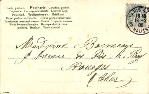 Litho Katze in einer Handtasche