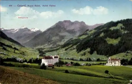 Ak Gstaad Saanen Kanton Bern, Royal Hotel, Hotel Alpina