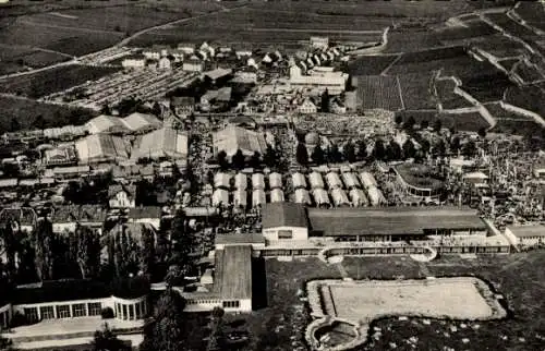 Ak Bad Dürkheim in der Pfalz, Stadtansicht, Fliegeraufnahme