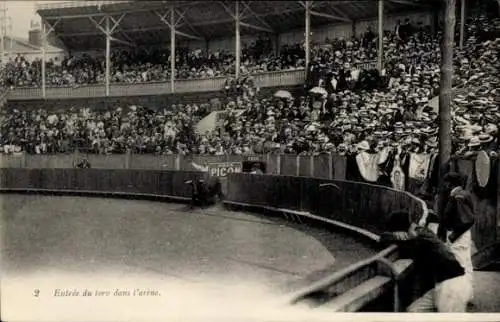 Ak Bull Race, Einzug des Bullen in die Arena