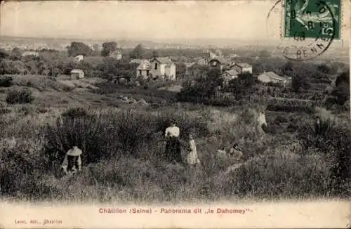 Ak Chatillon Hauts de Seine, Panorama, Wiesen, Büsche, Dahomey