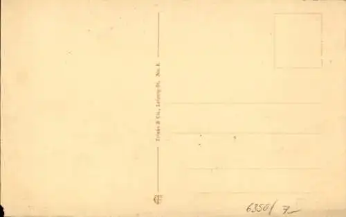 Ak Bad Nauheim in Hessen, großer Sprudel