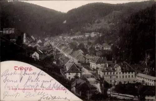 Ak Triberg im Schwarzwald, Totalansicht