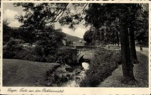 Ak Siegen in Westfalen, Reckhammertal, Brücke