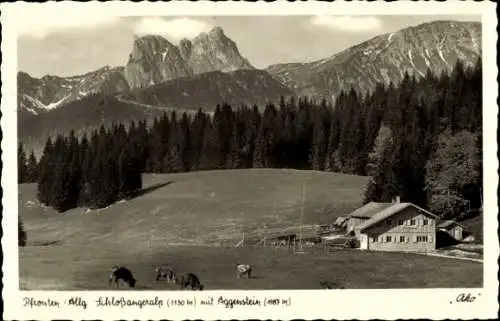 Ak Pfronten im Allgäu, Aggenstein, Schlossangeralp