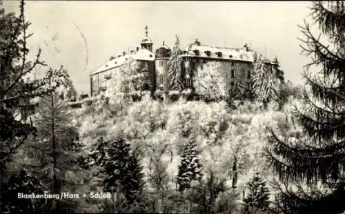 Ak Blankenburg am Harz, Schloss