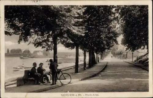 Ak Nierstein am Rhein, Rhein-Allee