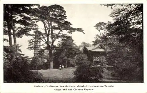 Ak Kew Greater London, Zedern aus Libanon, japanische Tempel Tore, chinesische Pagode