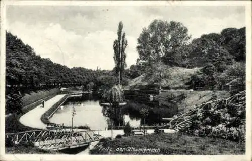 Ak Zeitz im Burgenlandkreis, Schwanenteich, Brücke, Treppe