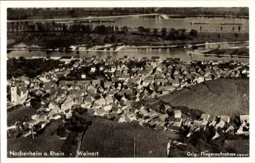 Ak Nackenheim am Rhein, Fliegeraufnahme