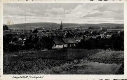 Ak Dingelstädt im Eichsfeld Thüringen, Totalansicht