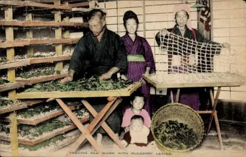 Ak Japan, Seidenraupen werden mit Maulbeerblättern gefüttert, Japaner