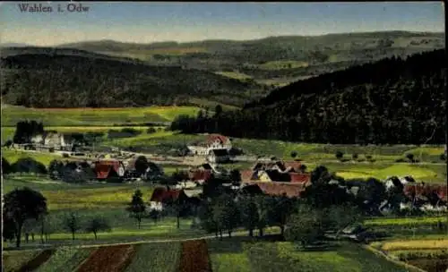 Ak Wahlen Grasellenbach im Odenwald, Panorama