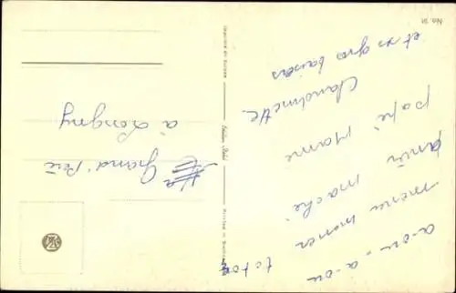 Ak Junge weiße Katze, sitzend