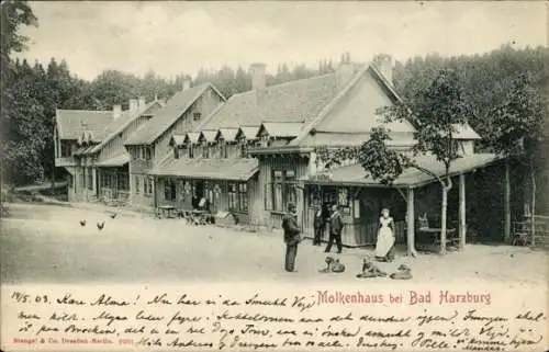 Ak Bad Harzburg im Harz, Molkenhaus