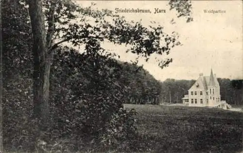 Ak Friedrichsbrunn Thale im Harz, Teilansicht, Waldpartien