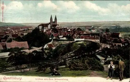 Ak Quedlinburg im Harz, Schloss mit dem Münzenberg