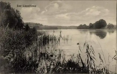 Ak Wandlitz in Brandenburg, Liepnitzsee