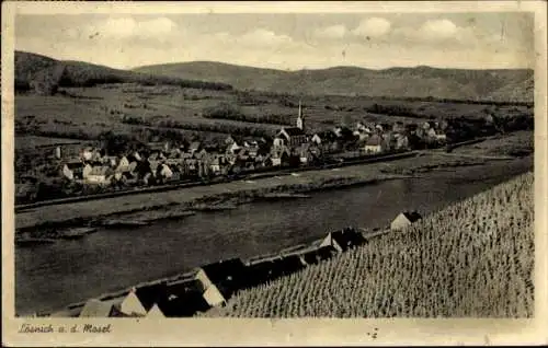 Ak Lösnich an der Mosel, Gesamtansicht