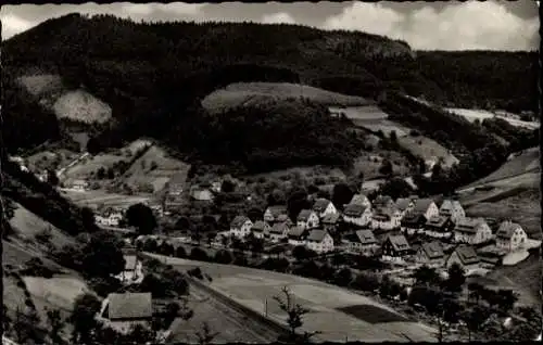 Ak Rötenbach Alpirsbach im Schwarzwald, Riedwiesensiedlung