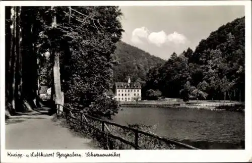 Ak Bad Bergzabern an der Weinstraße Pfalz, Schwanenweiher