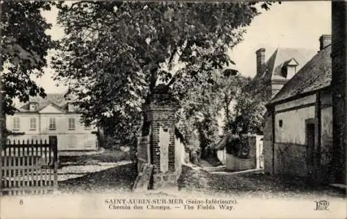 Ak Saint Aubin sur Mer Seine Maritime, Chemin des Champs