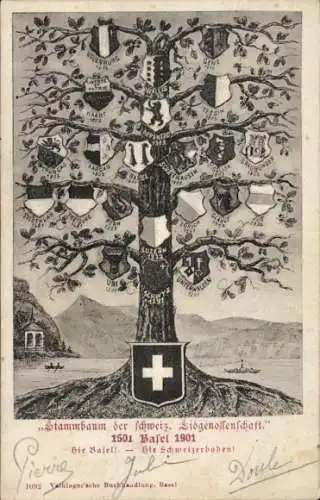 Wappen Ak Basel Stadt Schweiz, Stammbaum der schweizerischen Eidgenossenschaft 1501-1901