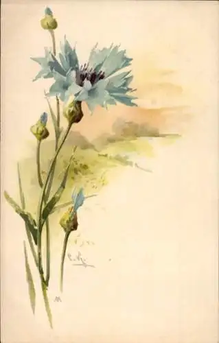 Künstler Ak Klein, C., Blühende blaue Blumen