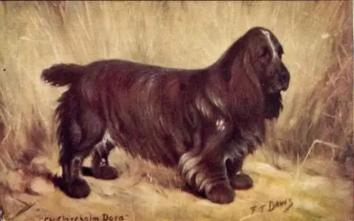 Künstler Ak Daws, FT, Field Spaniel