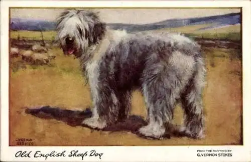 Künstler Ak Stokes, Old English Sheep Dog