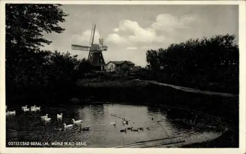 Ak Ostseebad Graal Müritz, Windmühle, Teich