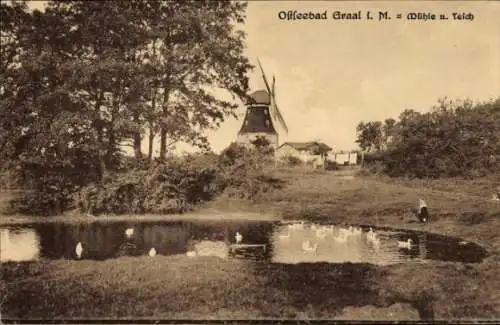 Ak Ostseebad Graal Müritz, Mühle und Teich