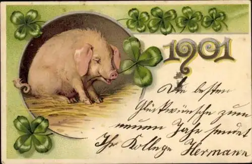 Litho Glückwunsch Neujahr, Jahreszahl 1901, Schwein, Klee